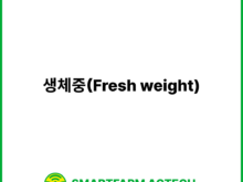 생체중(Fresh weight) | 스마트팜피디아 (Smartfarm Pedia)