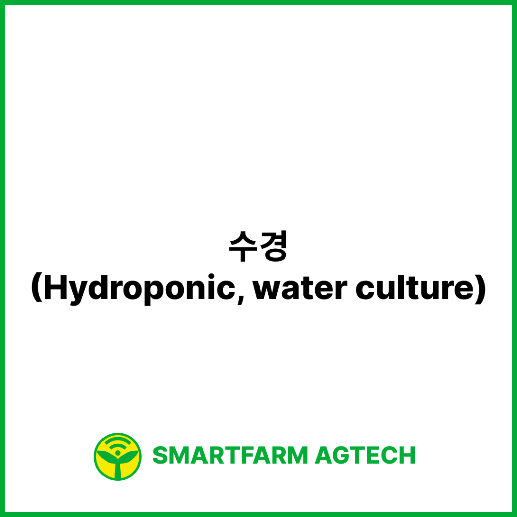 수경(Hydroponic, water culture) | 스마트팜피디아 (Smartfarm Pedia)