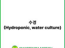 수경(Hydroponic, water culture) | 스마트팜피디아 (Smartfarm Pedia)