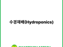 수경재배(Hydroponics) | 스마트팜피디아 (Smartfarm Pedia)