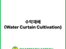 수막재배(Water Curtain Cultivation) | 스마트팜피디아 (Smartfarm Pedia)