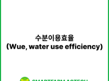 수분이용효율(Wue, water use efficiency) | 스마트팜피디아 (Smartfarm Pedia)