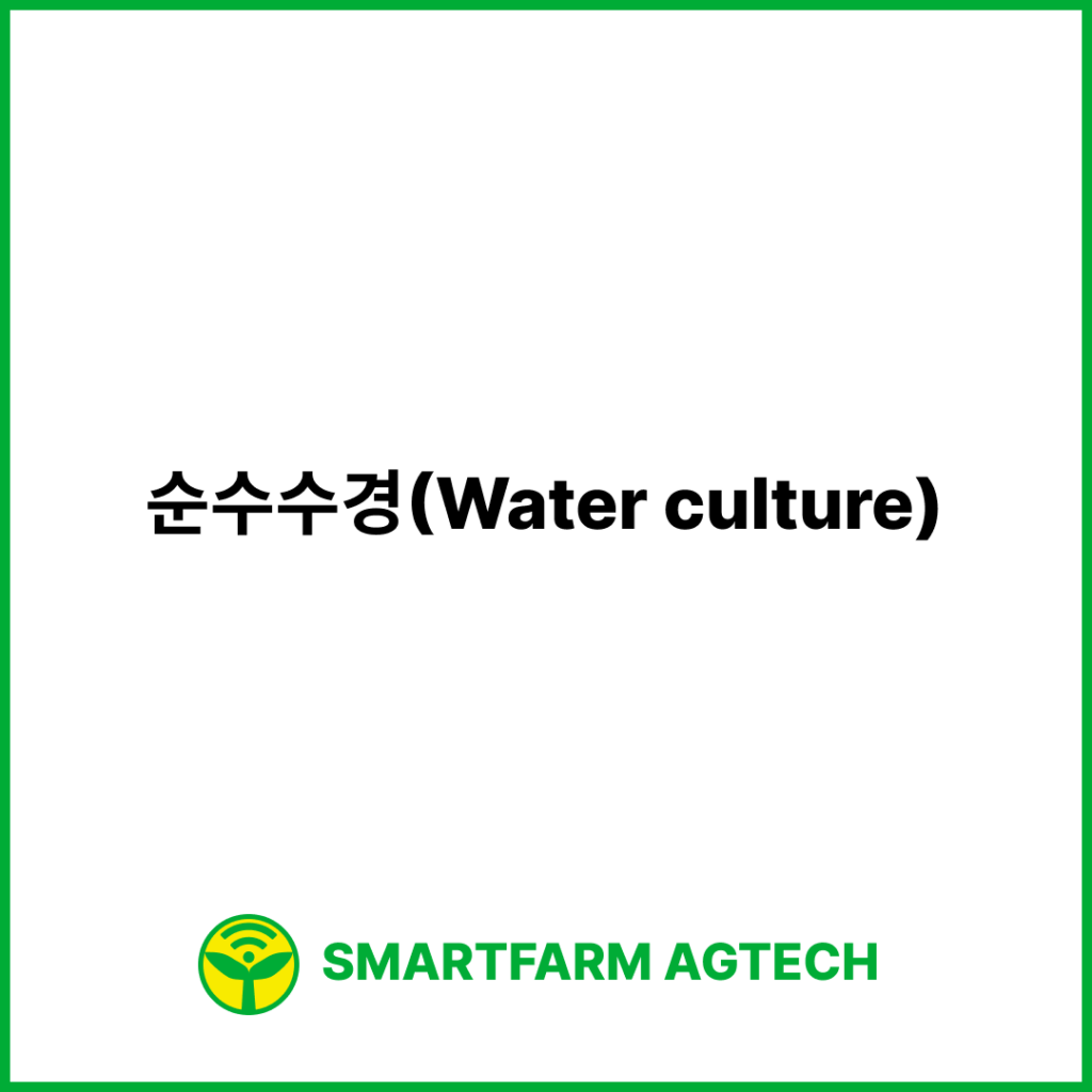 순수수경(Water culture) | 스마트팜피디아 (Smartfarm Pedia)