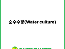 순수수경(Water culture) | 스마트팜피디아 (Smartfarm Pedia)