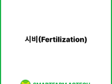 시비(Fertilization) | 스마트팜피디아 (Smartfarm Pedia)