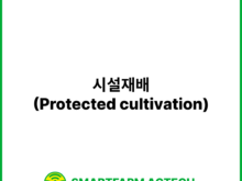 시설재배(Protected cultivation) | 스마트팜피디아 (Smartfarm Pedia)