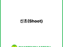 신초(Shoot) | 스마트팜피디아 (Smartfarm Pedia)