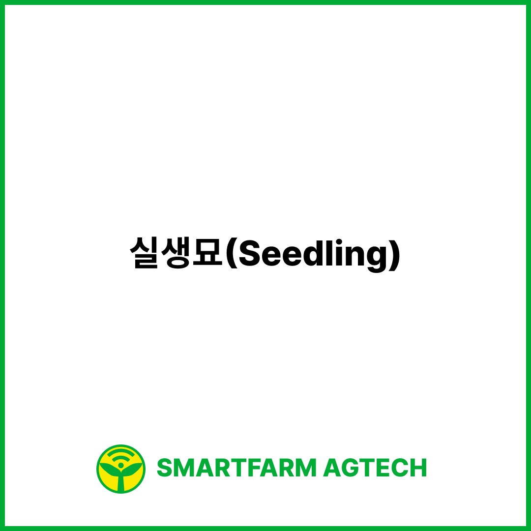 실생묘(Seedling) | 스마트팜피디아 (Smartfarm Pedia)