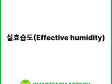 실효습도(Effective humidity) | 스마트팜피디아 (Smartfarm Pedia)