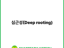 심근성(Deep rooting) | 스마트팜피디아 (Smartfarm Pedia)