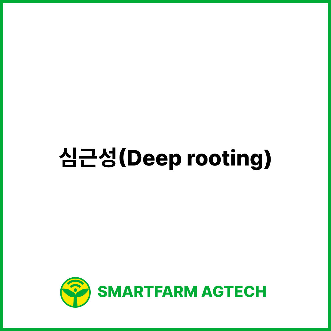 심근성(Deep rooting) | 스마트팜피디아 (Smartfarm Pedia)