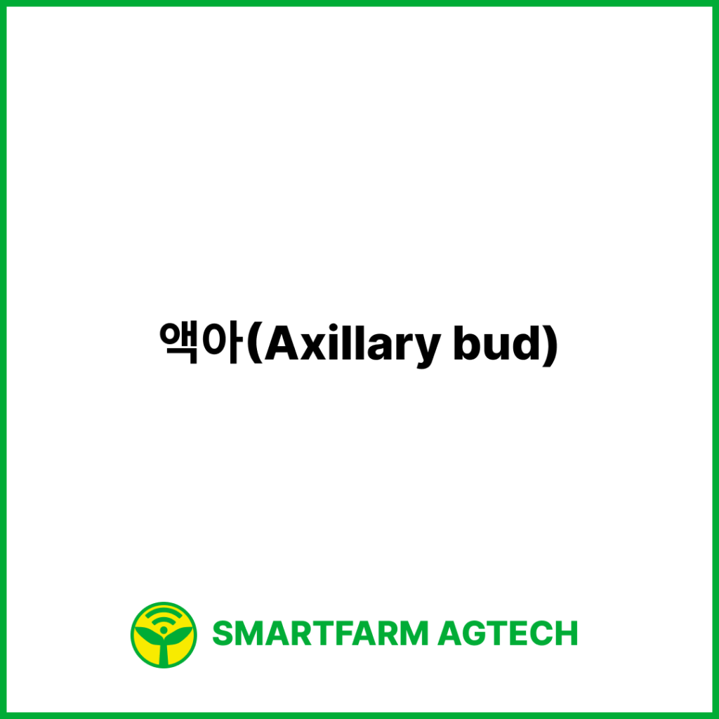 액아(Axillary bud) | 스마트팜피디아 (Smartfarm Pedia)