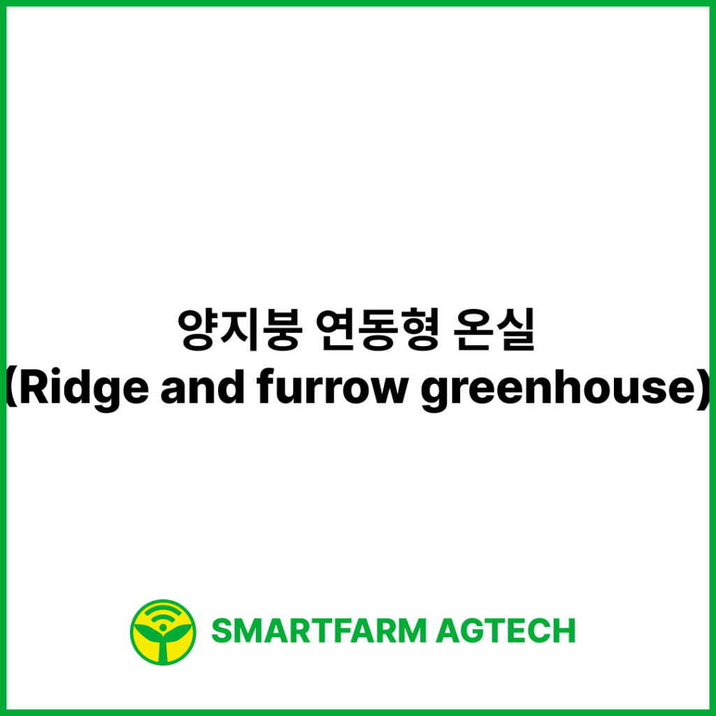 양지붕 연동형 온실(Ridge and furrow greenhouse) | 스마트팜피디아 (Smartfarm Pedia)