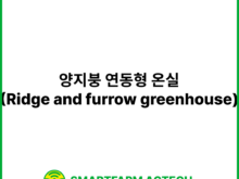 양지붕 연동형 온실(Ridge and furrow greenhouse) | 스마트팜피디아 (Smartfarm Pedia)