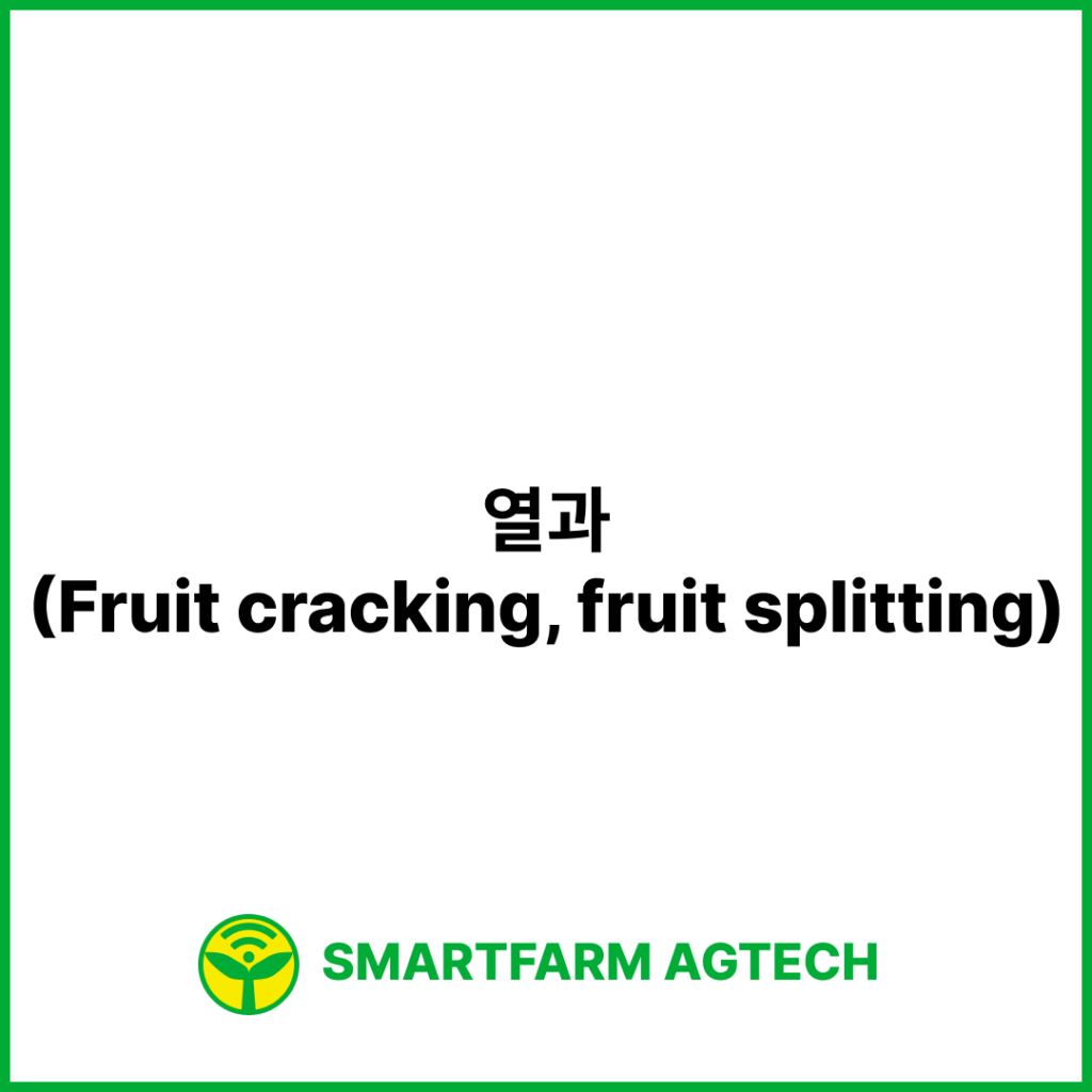 열과(Fruit cracking, fruit splitting) | 스마트팜피디아 (Smartfarm Pedia)