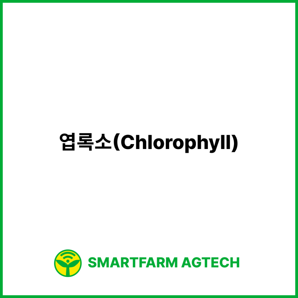 엽록소(Chlorophyll) | 스마트팜피디아 (Smartfarm Pedia)