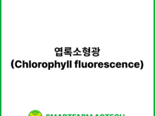 엽록소형광(Chlorophyll fluorescence) | 스마트팜피디아 (Smartfarm Pedia)