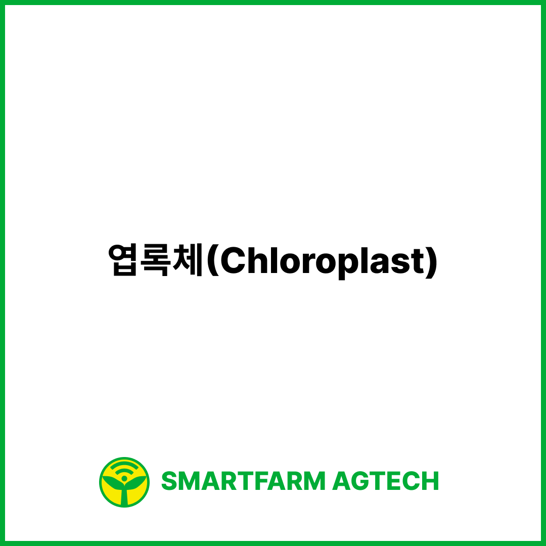 엽록체(Chloroplast) | 스마트팜피디아 (Smartfarm Pedia)