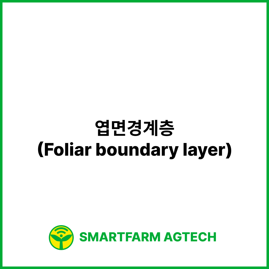 엽면경계층(Foliar boundary layer) | 스마트팜피디아 (Smartfarm Pedia)