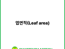 엽면적(Leaf area) | 스마트팜피디아 (Smartfarm Pedia)