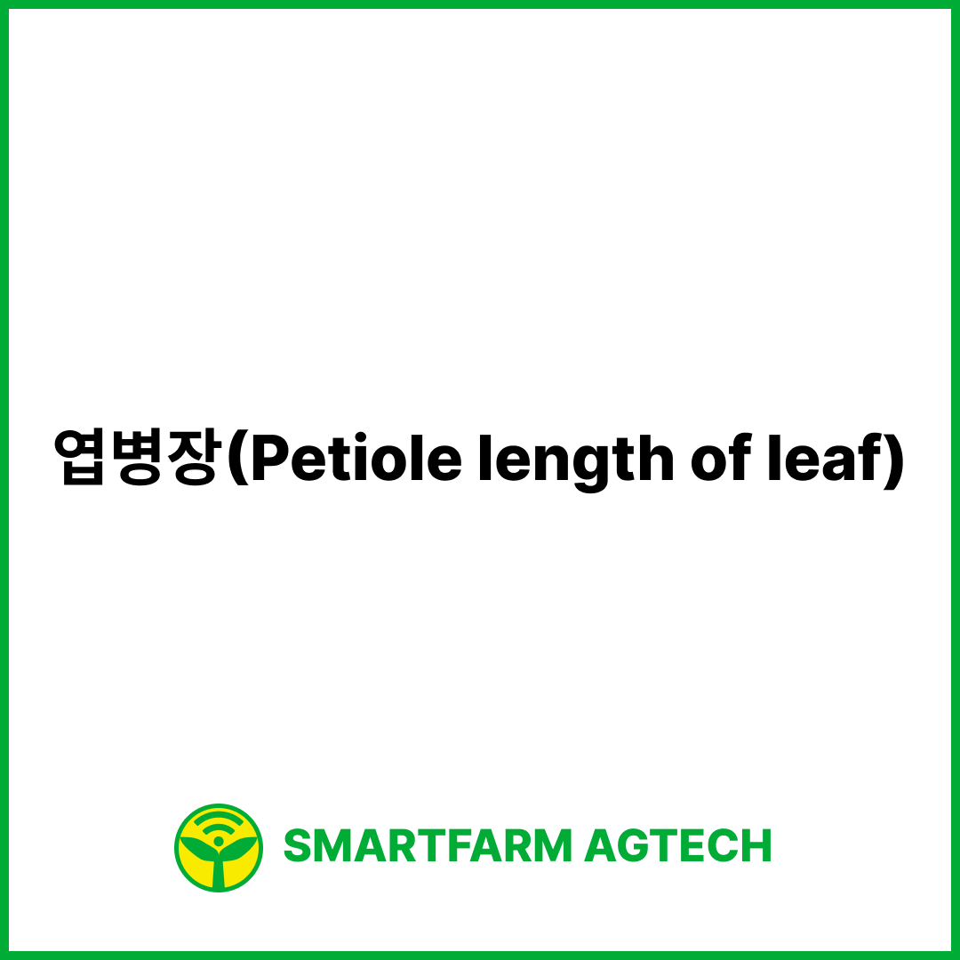 엽병장(Petiole length of leaf) | 스마트팜피디아 (Smartfarm Pedia)