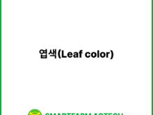 엽색(Leaf color) | 스마트팜피디아 (Smartfarm Pedia)