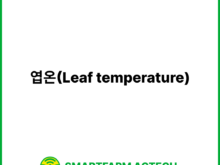 엽온(Leaf temperature) | 스마트팜피디아 (Smartfarm Pedia)