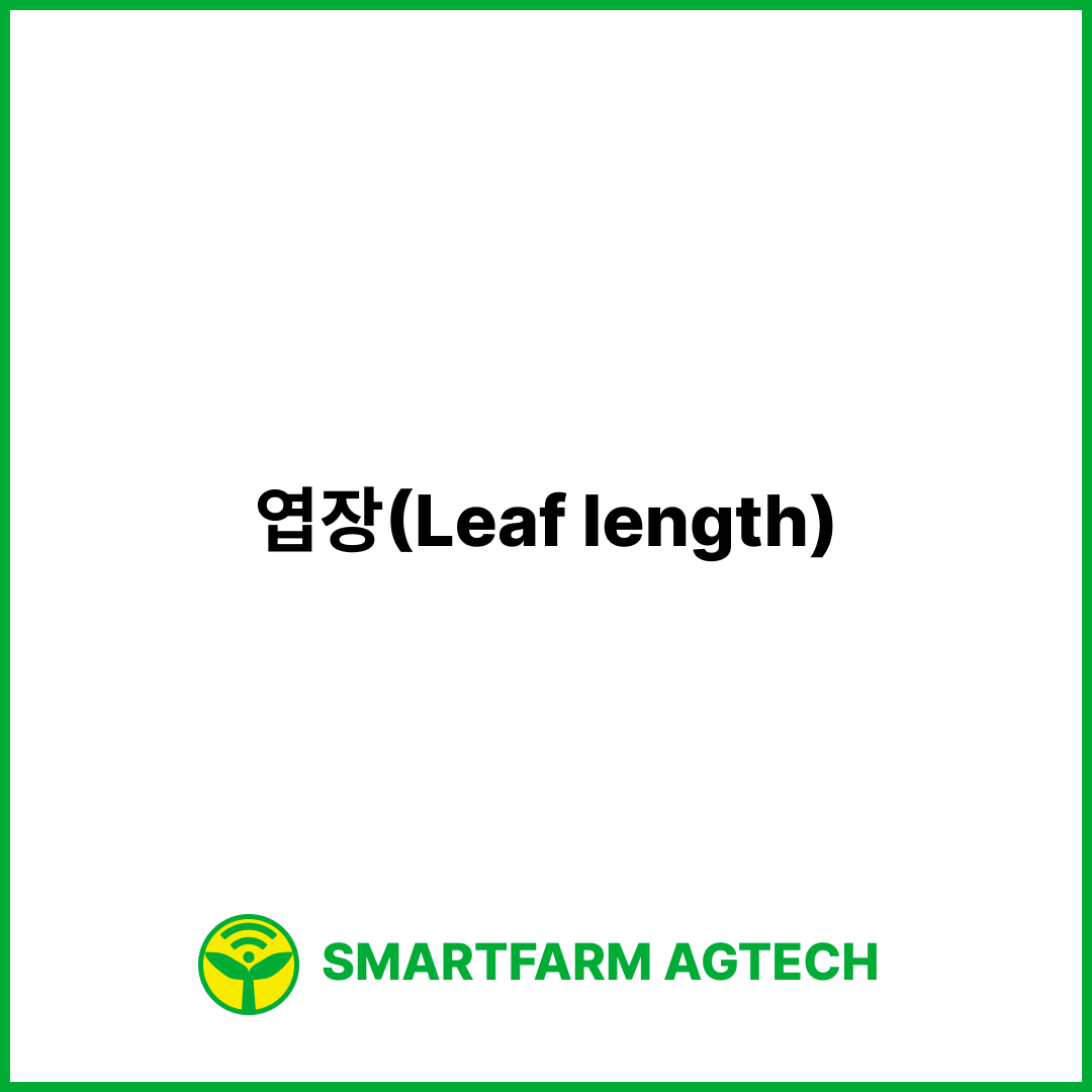 엽장(Leaf length) | 스마트팜피디아 (Smartfarm Pedia)