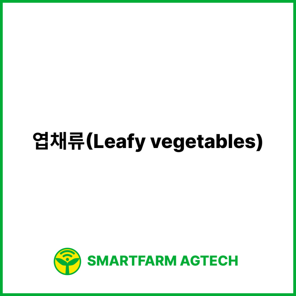 엽채류(Leafy vegetables) | 스마트팜피디아 (Smartfarm Pedia)