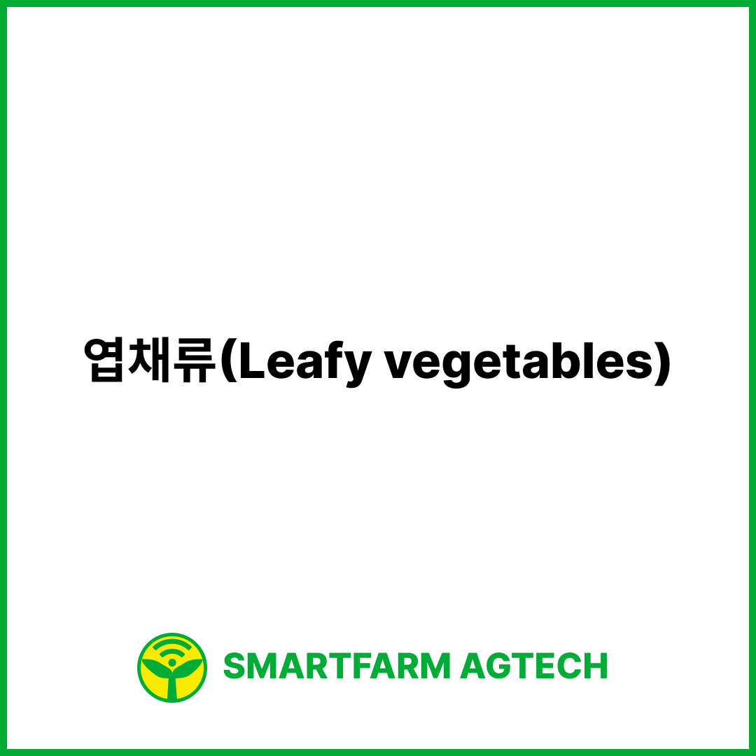 엽채류(Leafy vegetables) | 스마트팜피디아 (Smartfarm Pedia)