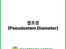 엽초경(Pseudostem Diameter) | 스마트팜피디아 (Smartfarm Pedia)