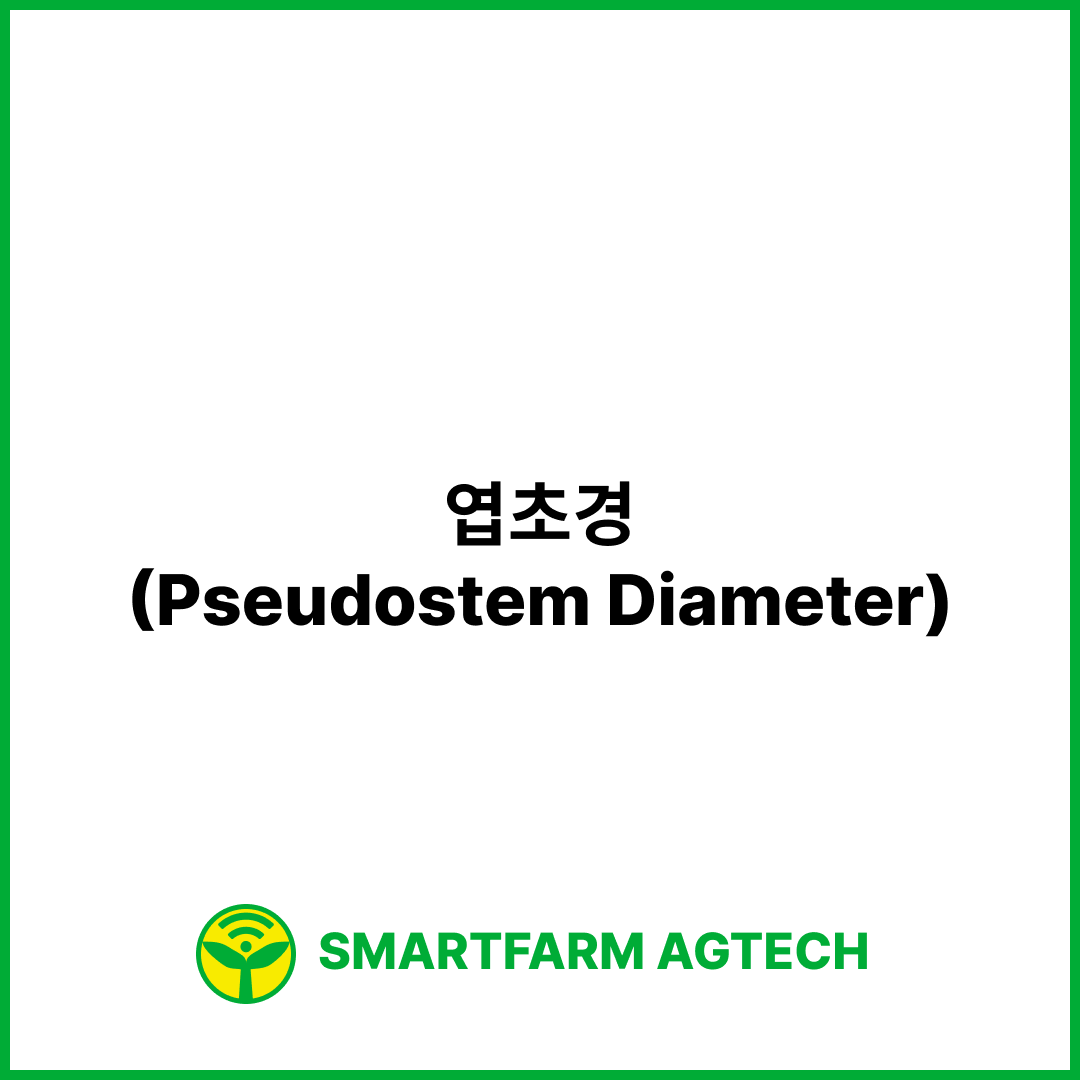 엽초경(Pseudostem Diameter) | 스마트팜피디아 (Smartfarm Pedia)