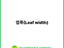 엽폭(Leaf width) | 스마트팜피디아 (Smartfarm Pedia)