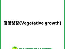 영양생장(Vegetative growth) | 스마트팜피디아 (Smartfarm Pedia)