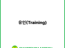 유인(Training) | 스마트팜피디아 (Smartfarm Pedia)