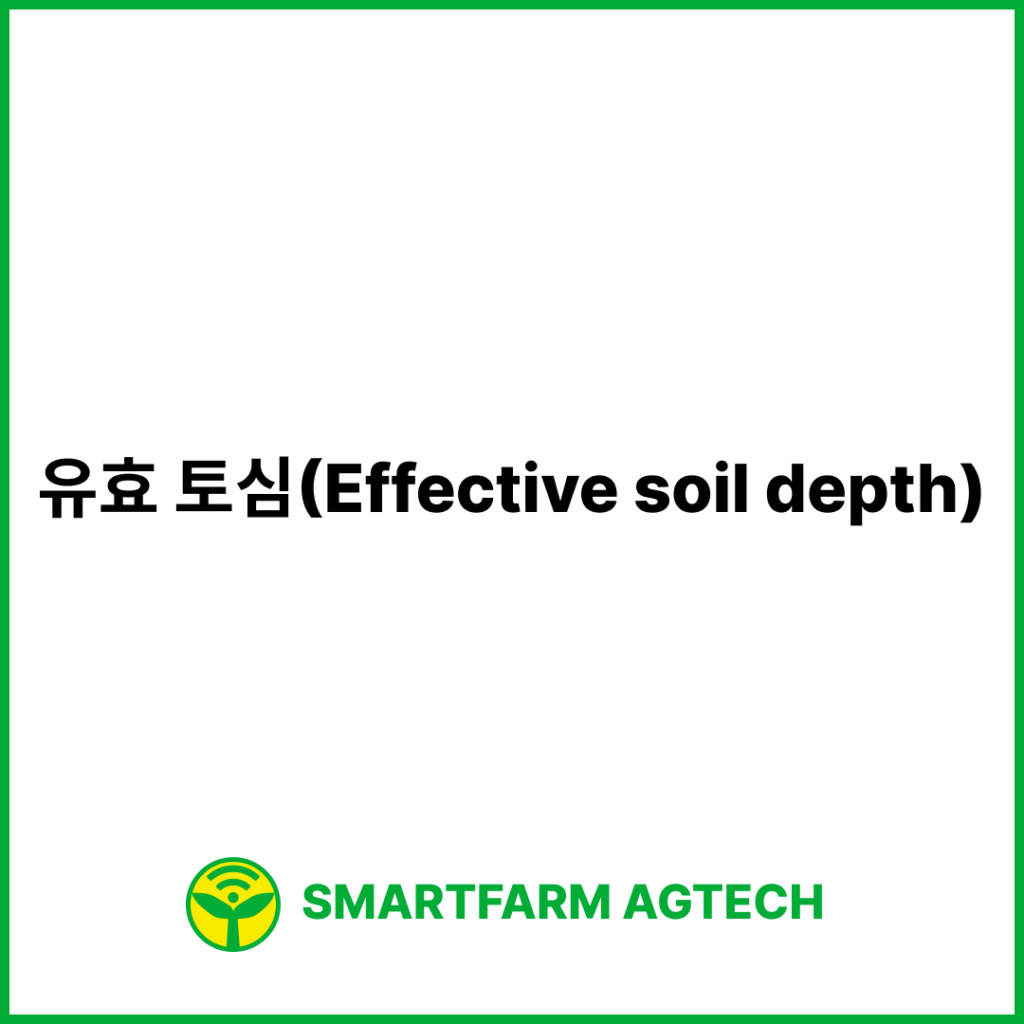 유효 토심(Effective soil depth) | 스마트팜피디아 (Smartfarm Pedia)