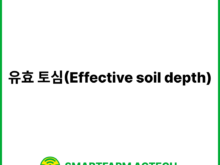 유효 토심(Effective soil depth) | 스마트팜피디아 (Smartfarm Pedia)