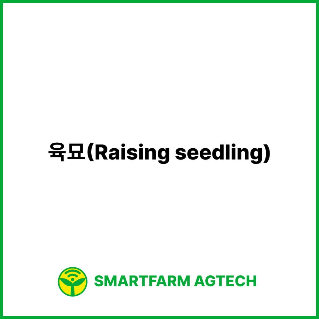 육묘(Raising seedling) | 스마트팜피디아 (Smartfarm Pedia)