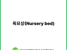 육묘상(Nursery bed) | 스마트팜피디아 (Smartfarm Pedia)