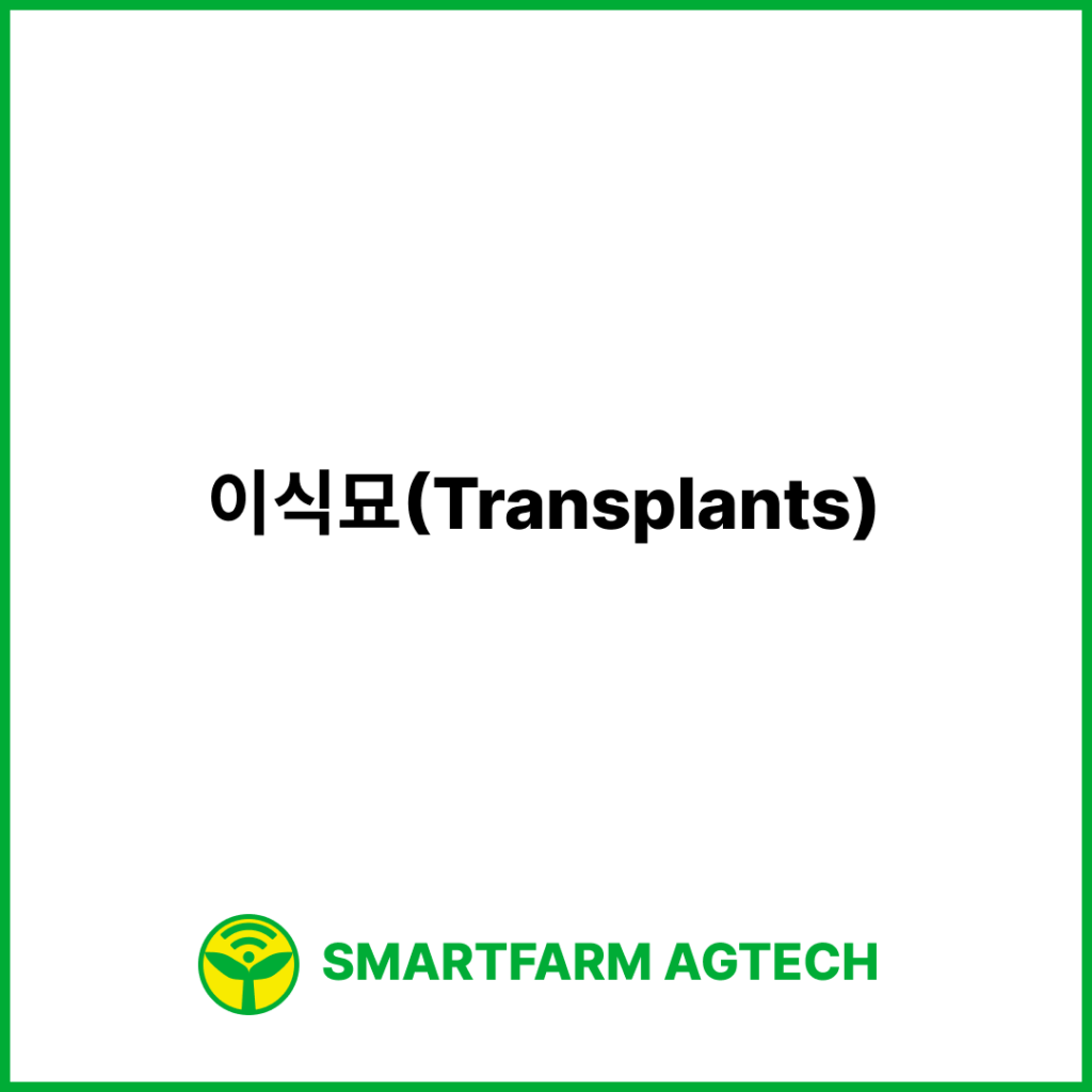 이식묘(Transplants) | 스마트팜피디아 (Smartfarm Pedia)