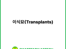 이식묘(Transplants) | 스마트팜피디아 (Smartfarm Pedia)