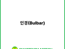 인경(Bulbar) | 스마트팜피디아 (Smartfarm Pedia)