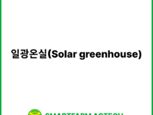 일광온실(Solar greenhouse) | 스마트팜피디아 (Smartfarm Pedia)