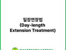 일장연장법(Day-length Extension Treatment) | 스마트팜피디아 (Smartfarm Pedia)