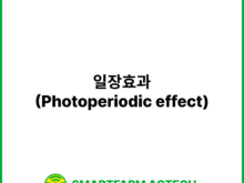 일장효과(Photoperiodic effect) | 스마트팜피디아 (Smartfarm Pedia)