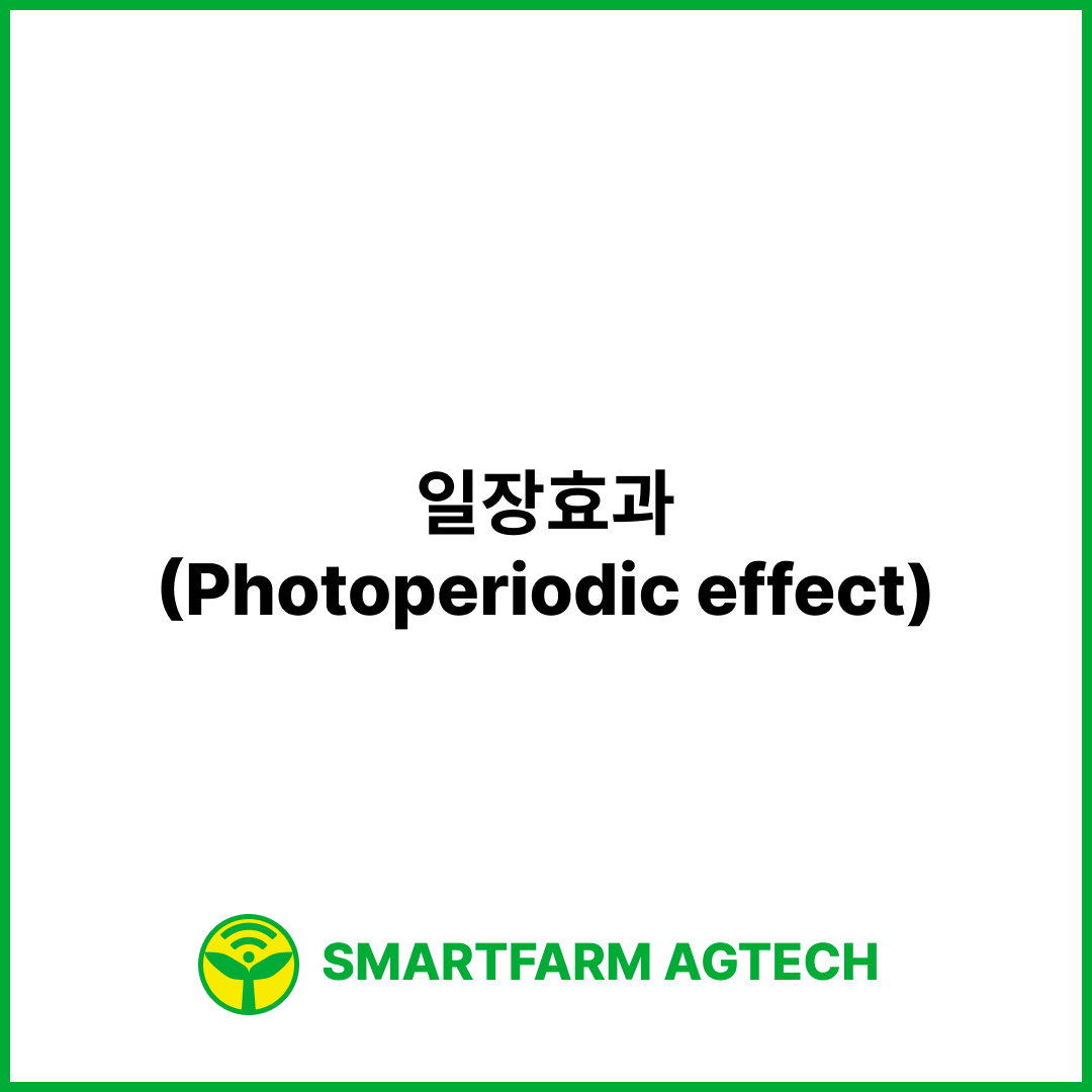 일장효과(Photoperiodic effect) | 스마트팜피디아 (Smartfarm Pedia)