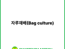 자루재배(Bag culture) | 스마트팜피디아 (Smartfarm Pedia)