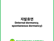 자발휴면(Internal dormancy, spontaneous dormancy) | 스마트팜피디아 (Smartfarm Pedia)