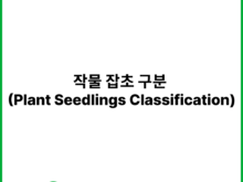 작물 잡초 구분 (Plant Seedlings Classification) | 캐글 (Kaggle)