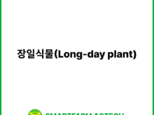 장일식물(Long-day plant) | 스마트팜피디아 (Smartfarm Pedia)